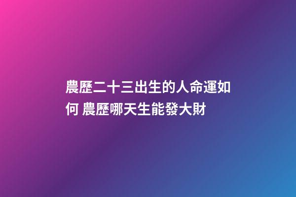 農歷二十三出生的人命運如何 農歷哪天生能發大財-第1張-觀點-玄機派